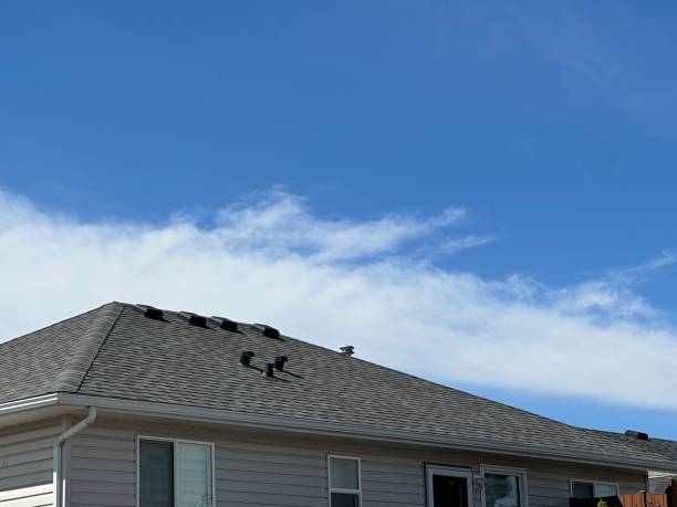  Oak Forest, IL Roofing Service Pros